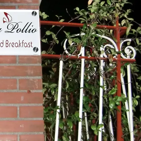 Pollio